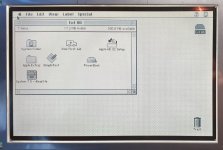 PB180 - 2nd bake (1).jpg