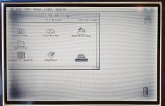 PB180 - 2nd bake (3).jpg