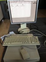 B42B6BF1-B39F-4F60-B20E-94022E4E3545.jpeg B42B6BF1-B39F-4F60-B20E-94022E4E3545.jpeg