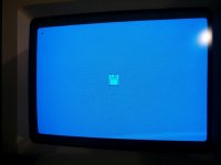 2016-01-13 18.56.59.jpg