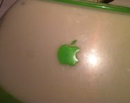 2016-01-16 19.14.24.jpg