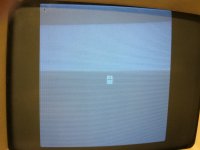 IMG_3921 (1).jpg