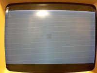 FullSizeRender 4.jpg