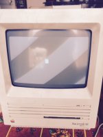 FullSizeRender (1).jpg