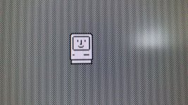 IMG_0300.JPG IMG_0300.JPG