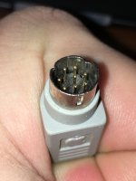 IMG_2515.JPG IMG_2515.JPG