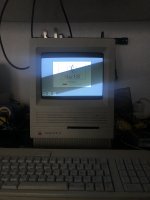 IMG_3141.jpeg IMG_3141.jpeg