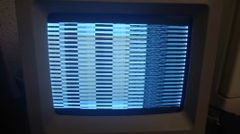 DSC_0369.JPG