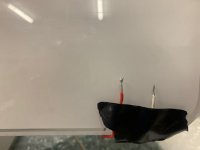 5E9711D7-E994-4316-B0C7-E82437DE7390.jpeg