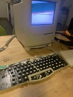 8BF0B560-A40B-42C8-8EE5-C32283ED08E1.jpeg 8BF0B560-A40B-42C8-8EE5-C32283ED08E1.jpeg