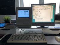 IMG_1101.JPG IMG_1101.JPG