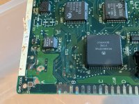 IMG_1004.jpeg IMG_1004.jpeg