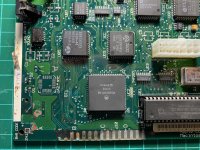 IMG_1007.jpeg IMG_1007.jpeg