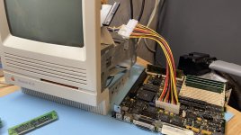 Screen Shot 2021-01-12 at 2.46.48 PM.jpeg