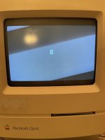 B40EBA66-867B-4468-BA61-A7F67E1EFC82.jpeg