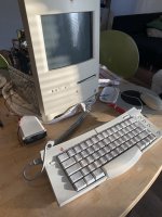 C1BB8F9D-27D8-435B-8449-BBA9E370D257.jpeg C1BB8F9D-27D8-435B-8449-BBA9E370D257.jpeg