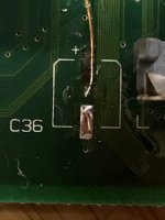 IMG_2317.jpeg