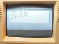 IMG_0772 (1).jpeg IMG_0772 (1).jpeg