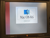 Screen Shot 2021-02-12 at 1.26.19 PM.png