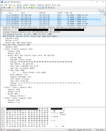 Bolo Wireshark Screenshot.PNG