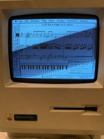 D052EF39-A1A0-44BA-AA7E-995335E94A6A.jpeg D052EF39-A1A0-44BA-AA7E-995335E94A6A.jpeg