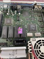 IMG_8162.jpeg IMG_8162.jpeg