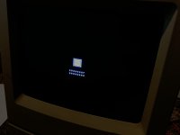 IMG_5248.JPEG