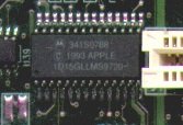 CUDA_341S0788.jpg