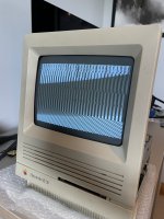 676EFA54-A82A-4AC8-A4E8-878331B62688.jpeg 676EFA54-A82A-4AC8-A4E8-878331B62688.jpeg