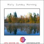 MistySundayMorning.jpg