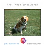 AreThoseBinoculars.jpg