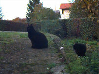 zajem brez flesha.jpeg