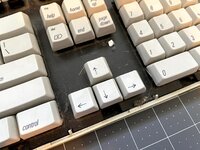 IMG_2718.jpg IMG_2718.jpg