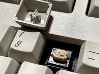 IMG_2747.jpg IMG_2747.jpg