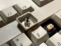 IMG_2751.jpg IMG_2751.jpg