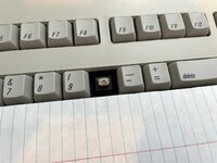 IMG_2935.jpg IMG_2935.jpg