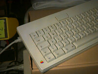 Image 16 - 22-9-2021-JPEG.jpeg