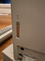 IMG_5767.JPG