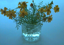 Image 11 - 26:9:2021:JPEG_2.jpg