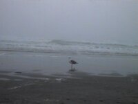 Image 3 - 7%2f14%2f20%2f.JPG