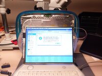IMG_20211010_191915.jpg