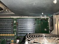 IMG_3686.jpeg