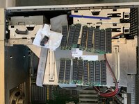 IMG_3684.jpeg
