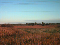 Image 5 - 1_9_04.jpg