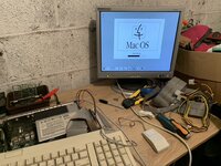 0613E7DE-E5C2-4A34-BC11-3367A8B78A8F_1_105_c.jpeg