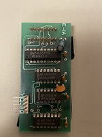 IMG_2463.jpeg