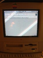IMG_9567.jpg