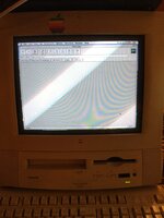 IMG_9568.jpg