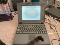 IMG_1704.jpeg IMG_1704.jpeg