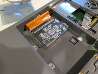 IMG_5890.JPG